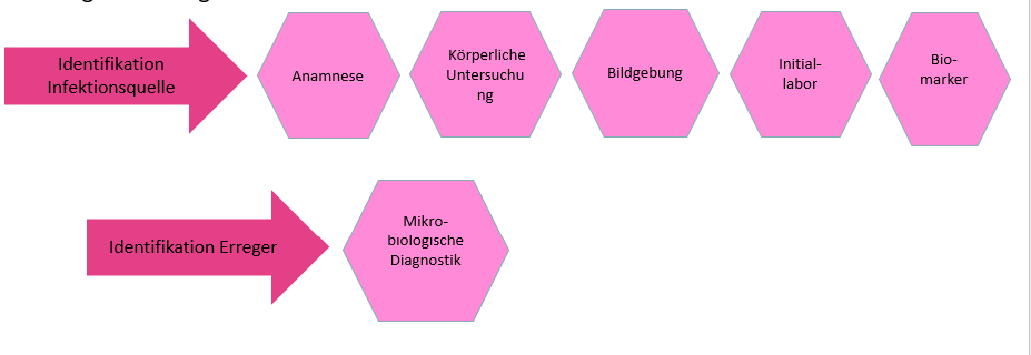 Diagn Sepsis schritte IPS